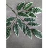 lacne-dekoracie.sk Dekoratívne listy zelené s bielymi koncami 65x65cm