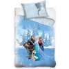 Carbotex obliečky Ľadové kráľovstvo Frozen Pravé priateľstvo 40 x 60 100 x 135 cm