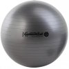 LEDRAGOMMA TONKEY PHYSIO BALL Maxafe 95 cm Typ: šedá