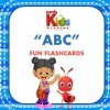 ambKids Academy Fun Flash Cards (Ambkids Academy,Amb Design Firm)(Brožovaná)
