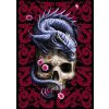 Trefl Premium Plus Anne Stokes Oriental Dragon 1000 dielov