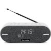 TechniSat DIGITRADIO BT 2 light grey