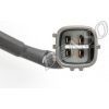 Lambda sonda DENSO DOX-0501