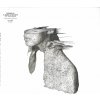Coldplay A rush of blood to the head 1 LP