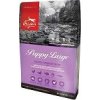 ORIJEN Dog Puppy Large Dry 6kg