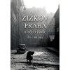 Žižkov Praha a něco navíc 50 60 léta - Pavlíček František