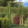 Pergola drevo VidaXL oblúk 200 cm