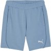 Puma TEAMFINAL CASUALS SHORTS