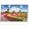 NOTIQUE Stolový kalendár Svet 2026, 23,1 x 14,5 cm (PGS-35321)