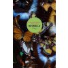 Parisian Cabinet of Curiosities: Deyrolle