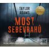 Most sebevrahů - audiokn… (Taylor Adams)