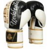 Boxerské rukavice DBX BUSHIDO B-2v16 8oz.