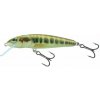Salmo Minnow M6S Minnow 6 cm 6 g Salmo