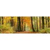 DIMEX | Fototapeta do kuchyne Jesenný les KI-180-045 | 180 x 60 cm | zelená, oranžová, hnedá + Samolepiace fototapety do kuchyne DIMEX Jesenný les KI-180-045 v rozmere 180 x 60 cm