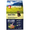 ONTARIO Adult Mini Lamb & Rice 6,5kg