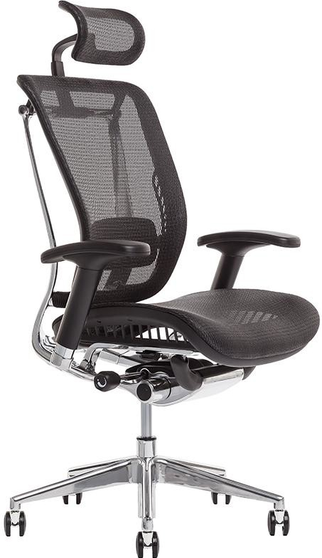 Office Pro LACERTA Mesh IW-01