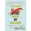 A Line Made By Walking - Sara Baume