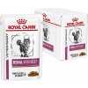 Royal Canin VHN Cat Renal Beef Gravy Kapsičky 12 x 85 g