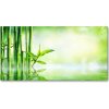 Foto obraz sklo tvrzené bambus 100x50 cm