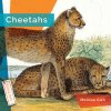 Cheetahs (Hanel Rachael)