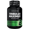 BIOTECH TRIBULUS Maximus 90 tbl