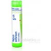Natrum Sulfuricum gra.1 x 4 g 5CH