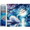 Norimpex diamantové maľovanie Labuť pri splne 30 x 40cm