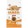 Iams Cat Adult IND Chicken 2kg