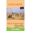 E-kniha Mezi Šammary - Alois Musil