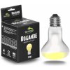 Terrario Bogande Basking Sun Light 75 W