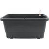 Plastkon Gardenie smart Samozavlažovací hrantík balkónový, plast, antracit, 100 × 19 × 9 cm 41111047