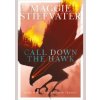 Call Down the Hawk: The Dreamer Trilogy 1 - autor neuvedený