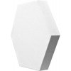 Mega Acoustic HEXAPET GP24 White