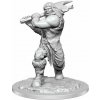 WizKids D&D Nolzur's Marvelous Miniatures - Ogre Female