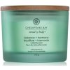 Chesapeake Bay Candle Balance + Harmony - Tumbler, 3 knôty - 312 g