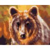 zuty Zuty - Maľovanie Podľa Čísel - Hlava Medveďa, 40X50 Cm, Plátno (8596530138723)