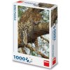 Dino Leopard škvrnitý 1000