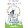 E-kniha Údolí havranů - Barbara Erskine