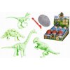 Vajíčko dinosaura. Objavte jeho kostru. Simba.