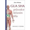 Gua sha Průvodce léčením těla