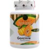 Golden Nature Garcínia kambodžská 50% HCA 100 ks