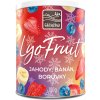 FARMLAND Vianočný mix LyoFruit - jahody, banán, čučoriedky 100g