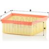 MANN-FILTER Vzduchový filter C22031
