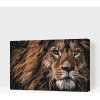 Vymalujsisam.sk Maľovanie podľa čísiel - Dravý pohľad leva Veľkosť: 40x60cm, Rám: Na plastovej doske