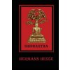 Siddhartha (Hermann Hesse)(Brožovaná)