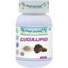 Gugullipid - Cholesterol, Metabolizmus - 500 mg, 60 kapsúl