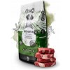 Canun Dog Hunter 20 kg