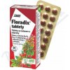 Salus Floradix Železo a Vitamíny 38,6 g 84 tabliet