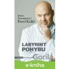 E-kniha Labyrint pohybu - Renata Červenková, Pavel Kolář, Radek Petříček (ilustrátor)