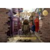 Harry Potter: Diagon Alley
